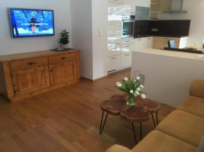 Haus Salner